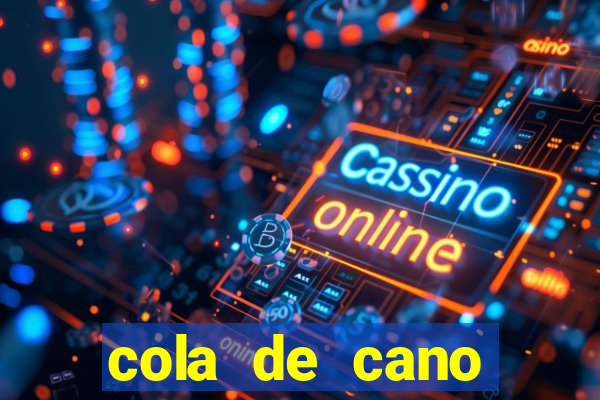 cola de cano quanto tempo para secar